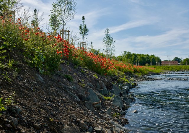 Flussufer.